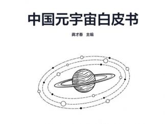 《中国元宇宙白皮书》2022 年 1 月于北京正式发布