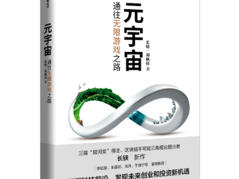 元宇宙,一种无限游戏?