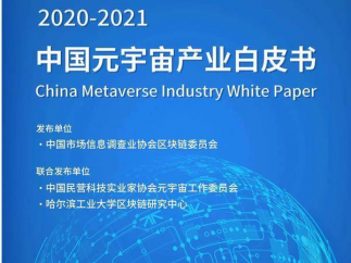 辛泓睿主编《2020-2021中国元宇宙产业白皮书》发布