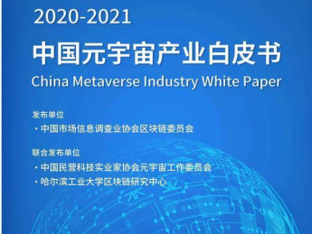 辛泓睿主编《2020-2021中国元宇宙产业白皮书》发布