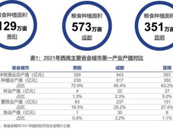 数说贵阳：元宇宙趋势下的城市和产业发展