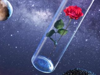 “太空玫瑰”数字藏品发布，航天科技解锁“元宇宙”新玩法