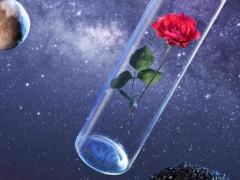 “太空玫瑰”数字藏品发布，航天科技解锁“元宇宙”新玩法