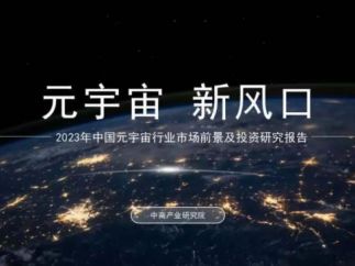 2023年中国元宇宙行业市场前景及投资研究报告