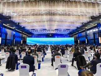 杭州灵伴科技亮相首届全球数字贸易博览会