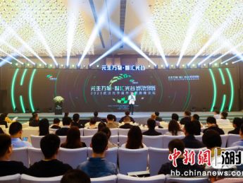 2023武汉元宇宙开发者高峰论坛在光谷举办