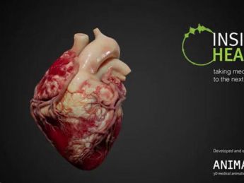 Insight Heart 基于 HoloLens 2 为医学教育带来全息交互