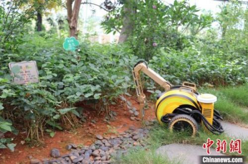双轮敏捷式机器人正在对车间内的土壤进行采样，它可以实时采集土壤肥力、含水量、ph值等信息。　熊锦阳 摄