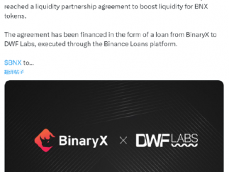 元宇宙链游 BinaryX 宣布与 DWF Labs 达成流动性合作伙伴协议